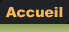 Page d'accueil du site
